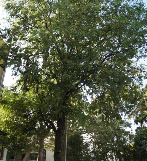 ペンション Cornerbunker