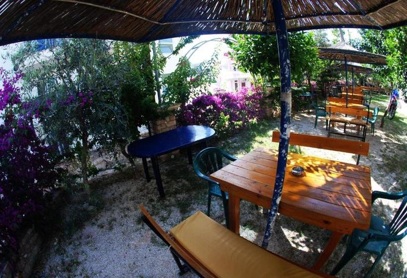 בית מלון כפרי Anna