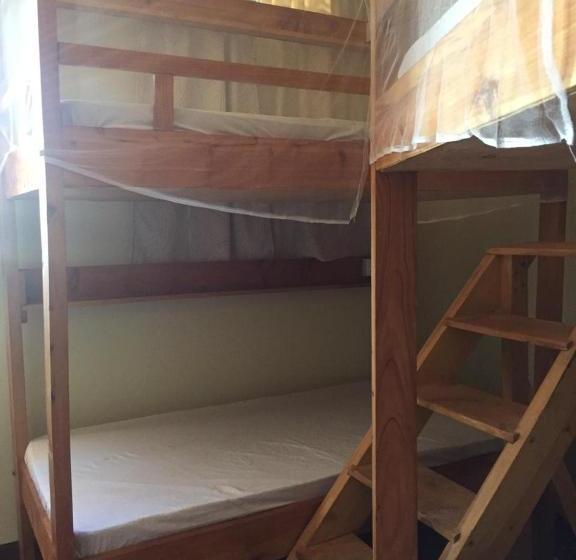 هاستل Tulia Old Town