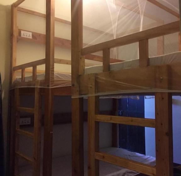 هاستل Tulia Old Town