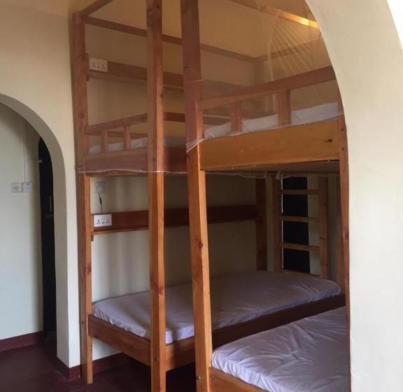 هاستل Tulia Old Town