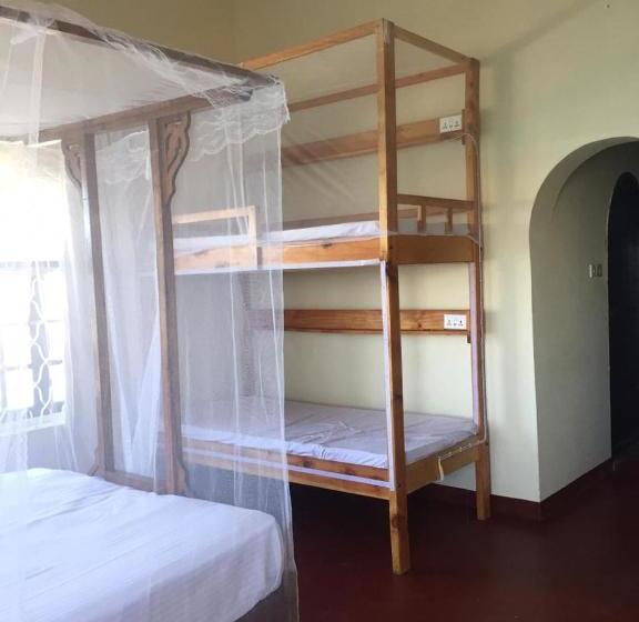 هاستل Tulia Old Town