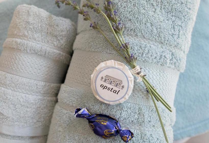 פנסיון Opstal Gastehuis