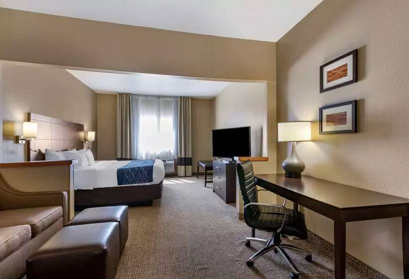 هتل Comfort Inn & Suites Waterloo  Cedar Falls