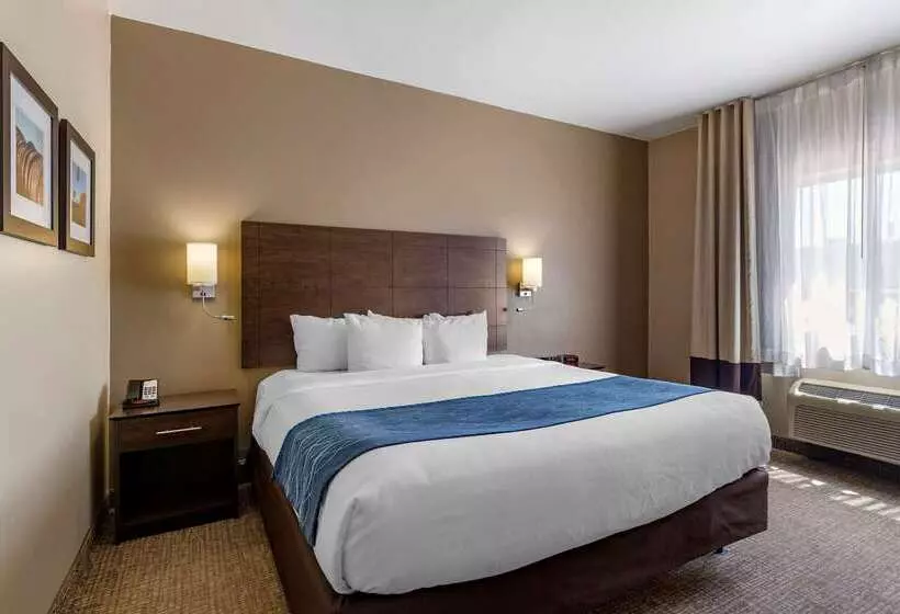 هتل Comfort Inn & Suites Waterloo  Cedar Falls