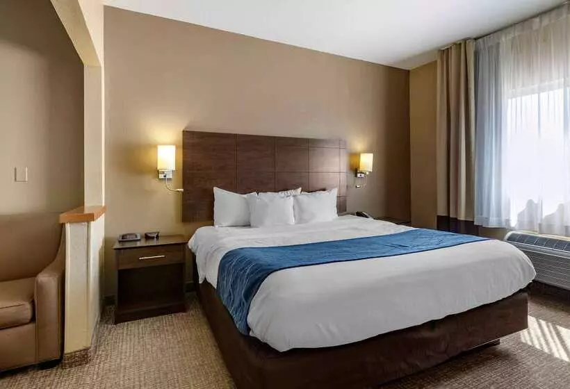 هتل Comfort Inn & Suites Waterloo  Cedar Falls