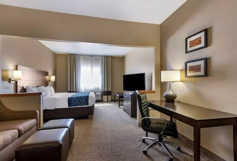هتل Comfort Inn & Suites Waterloo  Cedar Falls