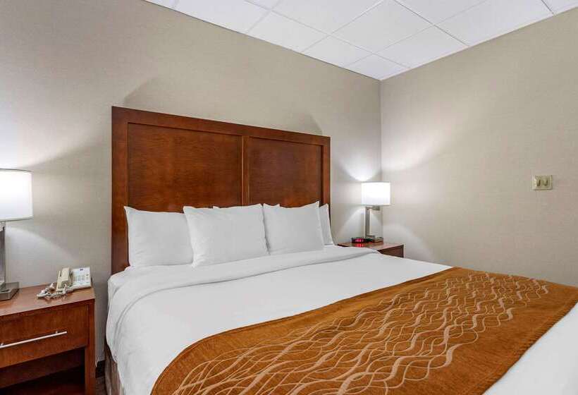 فندق Comfort Inn Syossetlong Island