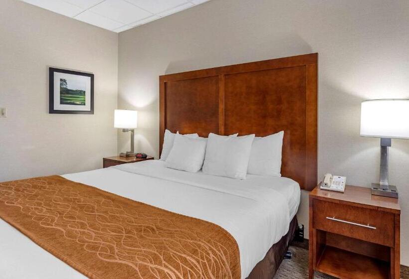 فندق Comfort Inn Syossetlong Island