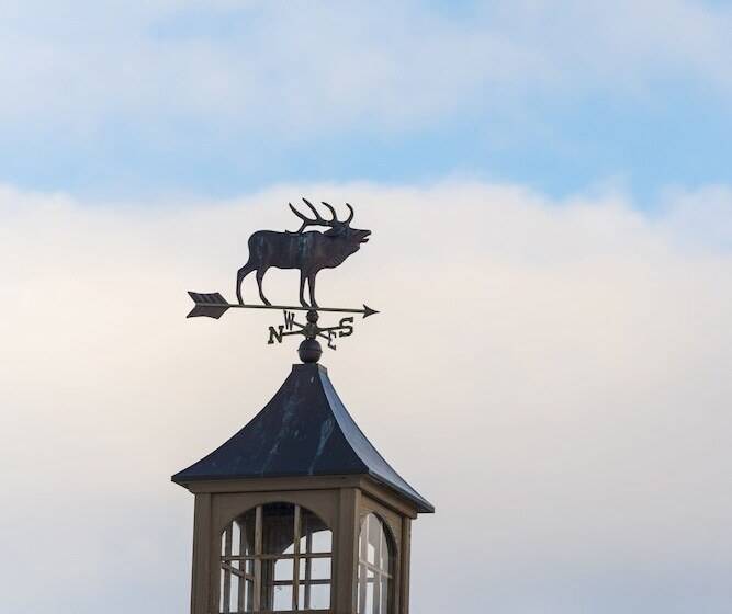 هتل Elk Refuge Inn