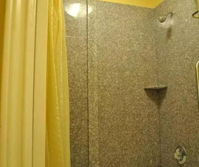 酒店 Executive Inn Brookshire