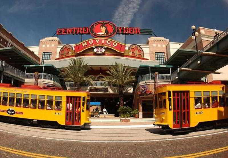 فندق Fairfield Inn And Suites By Marriott Tampa Brandon