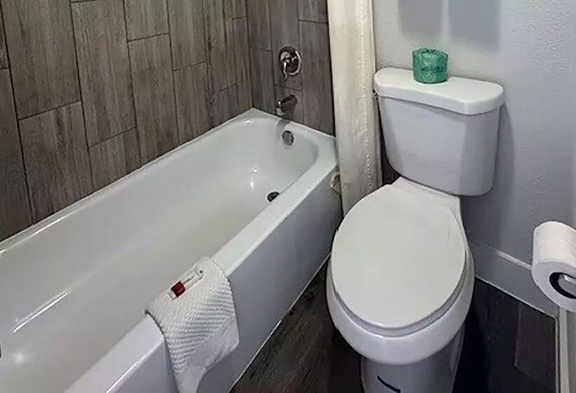 Отель Super 8 By Wyndham Orlando Near Florida Mall