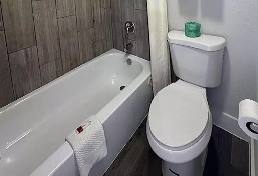 Отель Super 8 By Wyndham Orlando Near Florida Mall