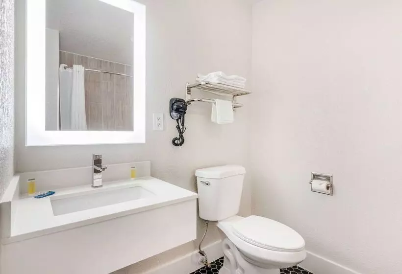 Отель Super 8 By Wyndham Orlando Near Florida Mall