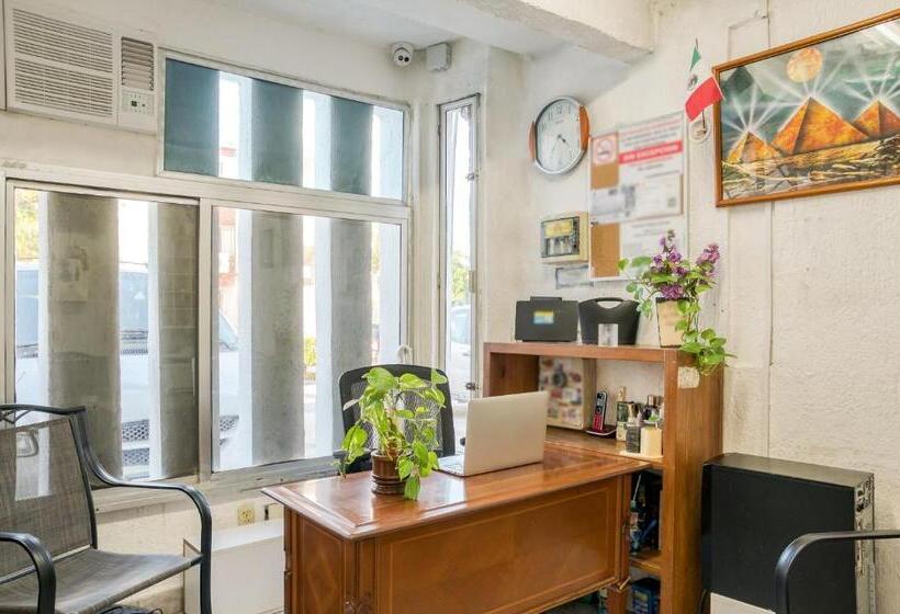 فندق صغير Capital O Farallon Inn, Cancún