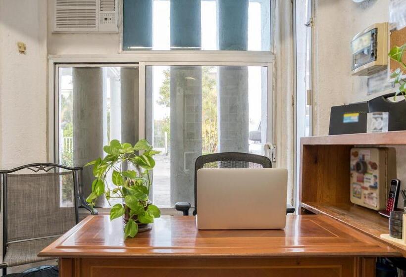 فندق صغير Capital O Farallon Inn, Cancún