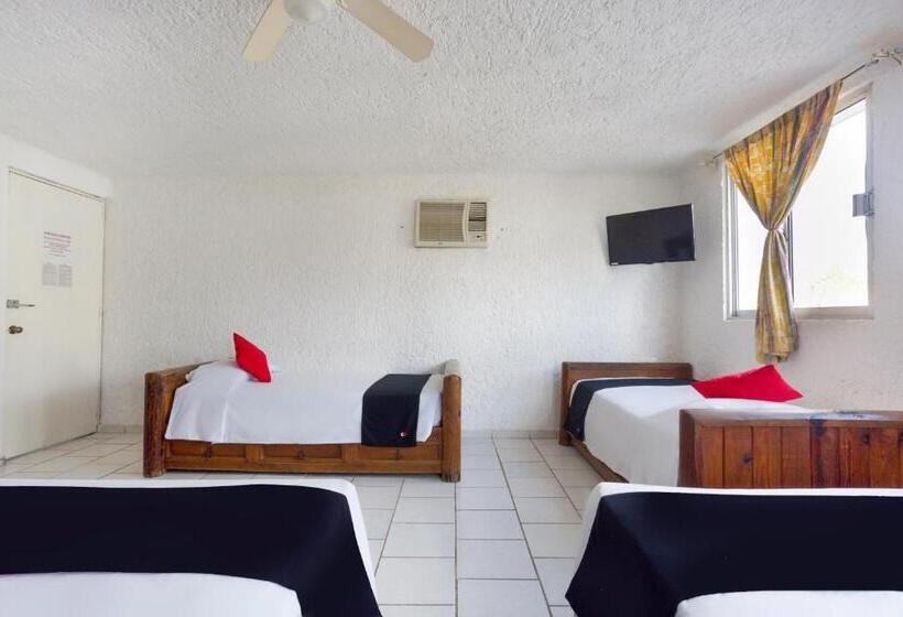 فندق صغير Capital O Farallon Inn, Cancún