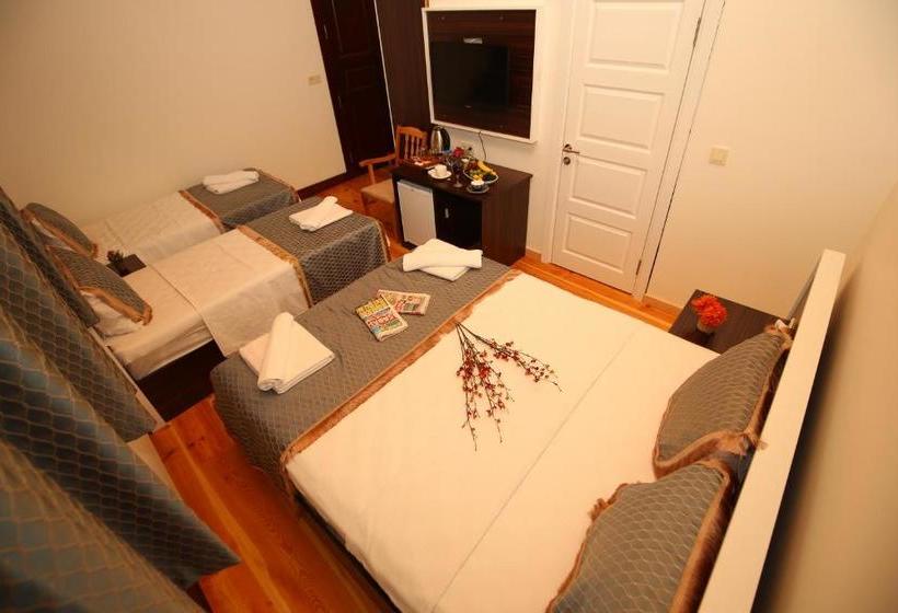 ホテル Grand Konak