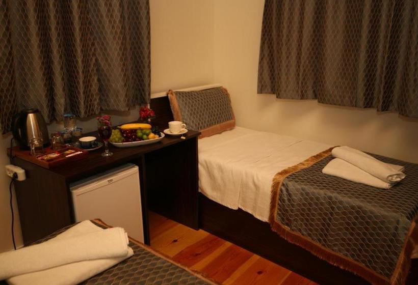 ホテル Grand Konak