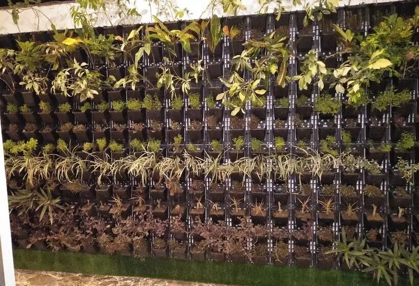 ホテル Sun N Star