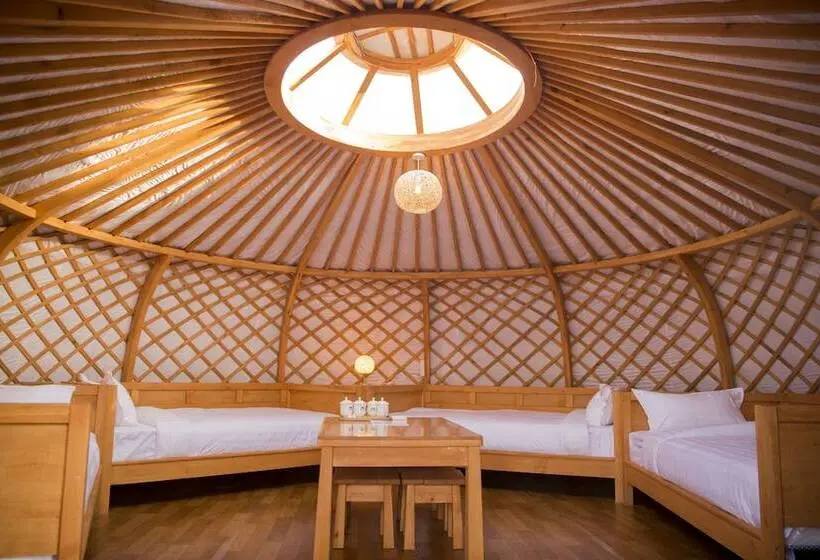 هتل Terelj Star Resort   Campsite
