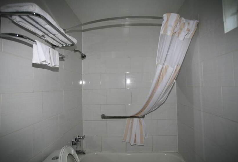 فندق على الطريق Royal Inn