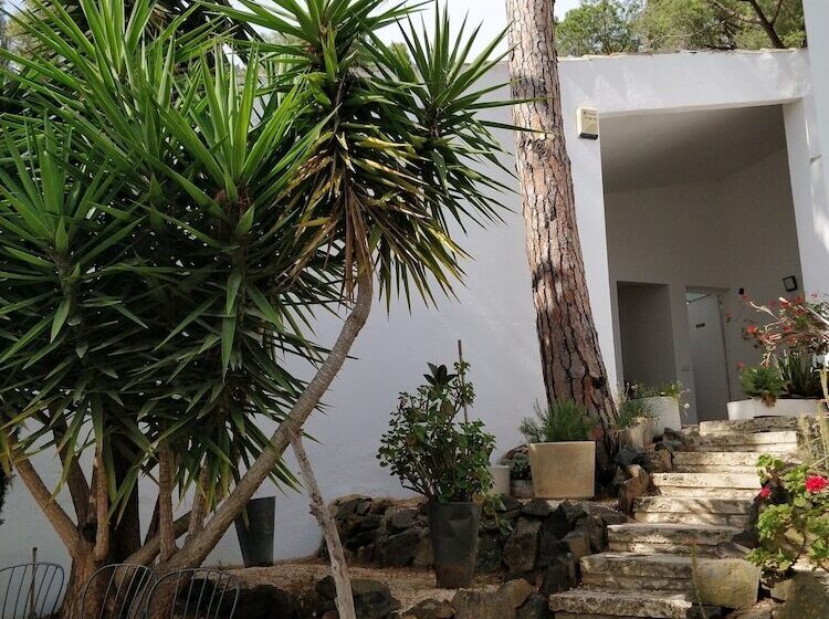 פנסיון Magnificent Villa Mas Garba