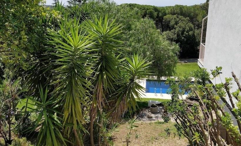 פנסיון Magnificent Villa Mas Garba