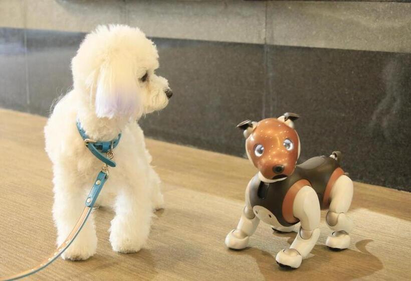 ريوكان Yururi Nishiizu