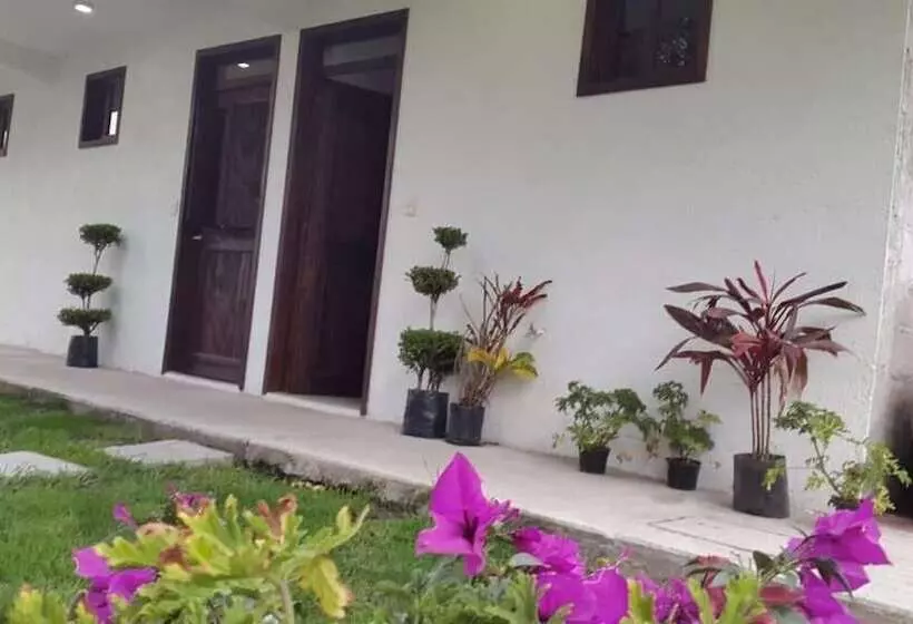 Hostelli Posada Yauhtli