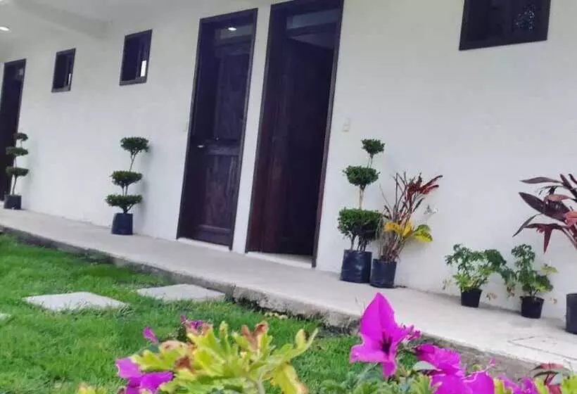 Hostelli Posada Yauhtli