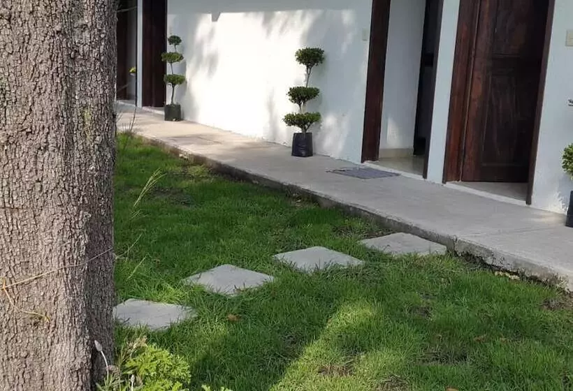 Hostelli Posada Yauhtli