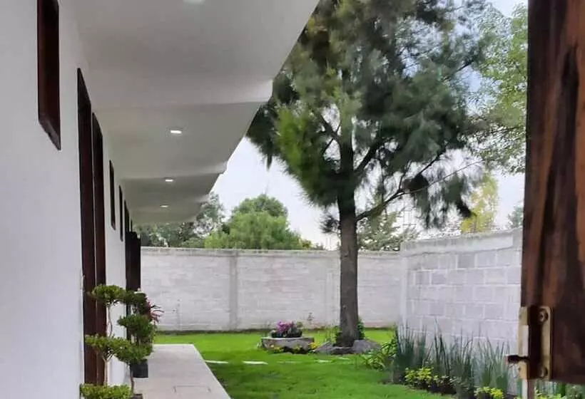 Hostelli Posada Yauhtli