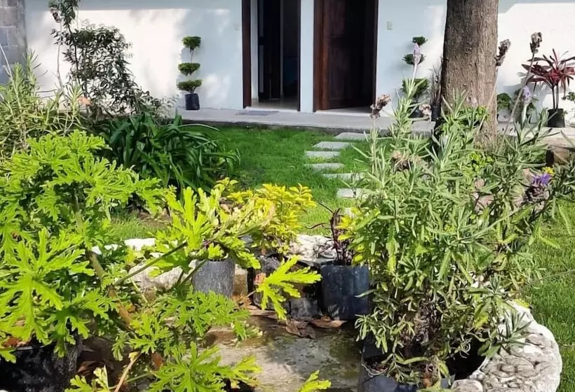 Hostelli Posada Yauhtli