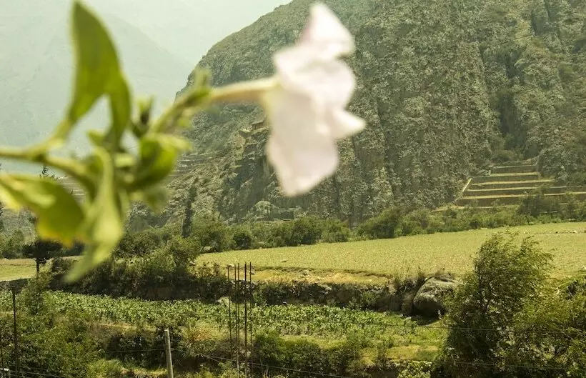 Majatalo Inka Khawarina Tambo Lodge