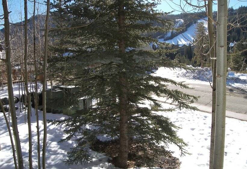 Arapahoe Lodge 8120 By Summitcove Lodging