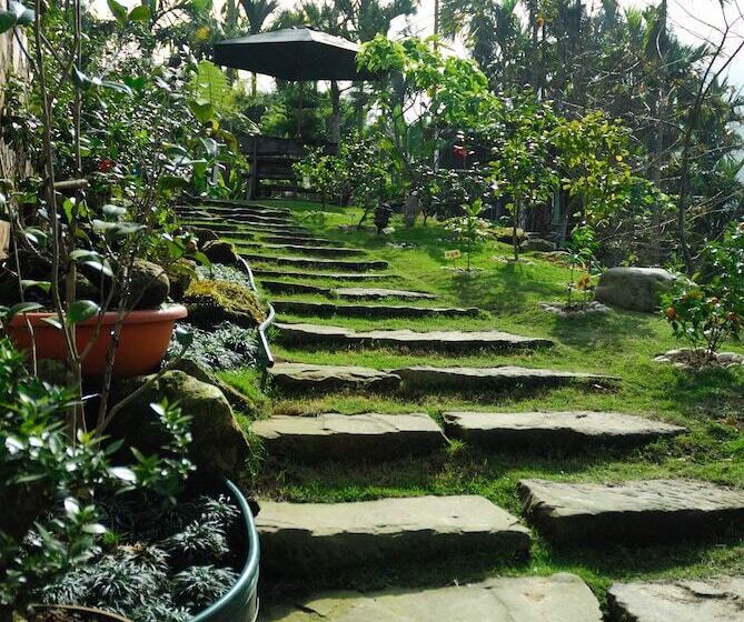 تختخواب و صبحانه Ji Ye Leisure Land