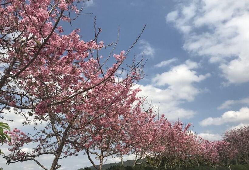 تختخواب و صبحانه Ji Ye Leisure Land