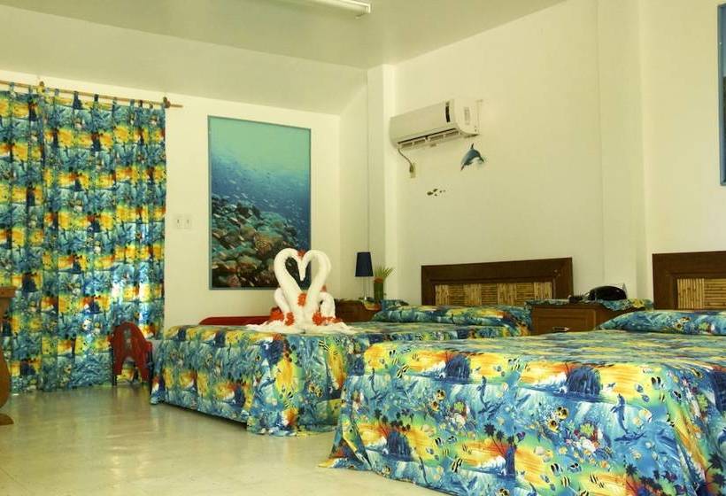 Hotel Pacific Treelodge Resort