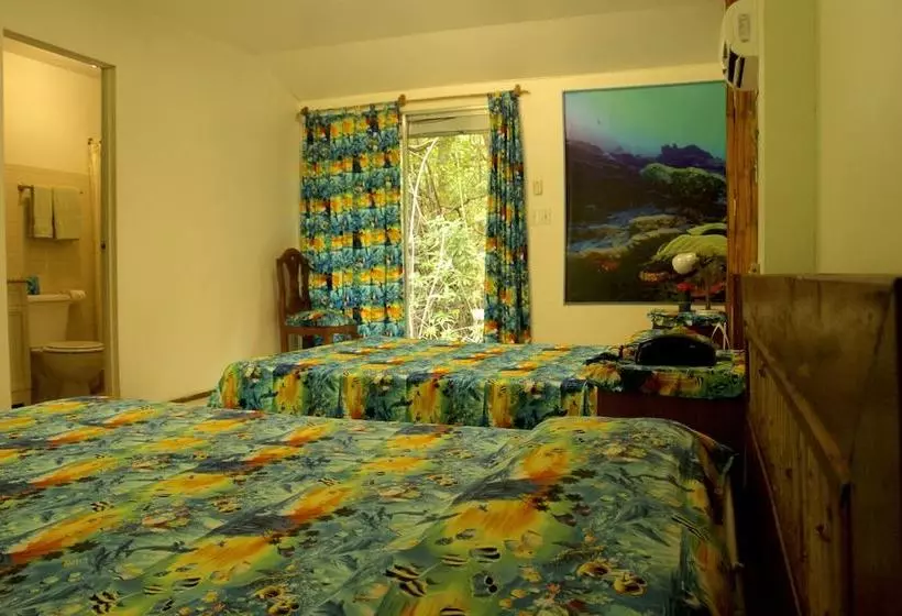 هتل Pacific Treelodge Resort