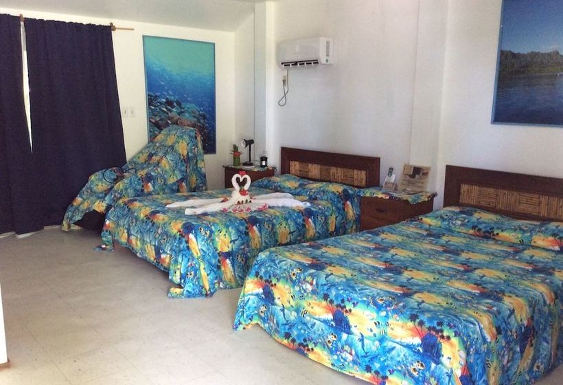 Hotel Pacific Treelodge Resort