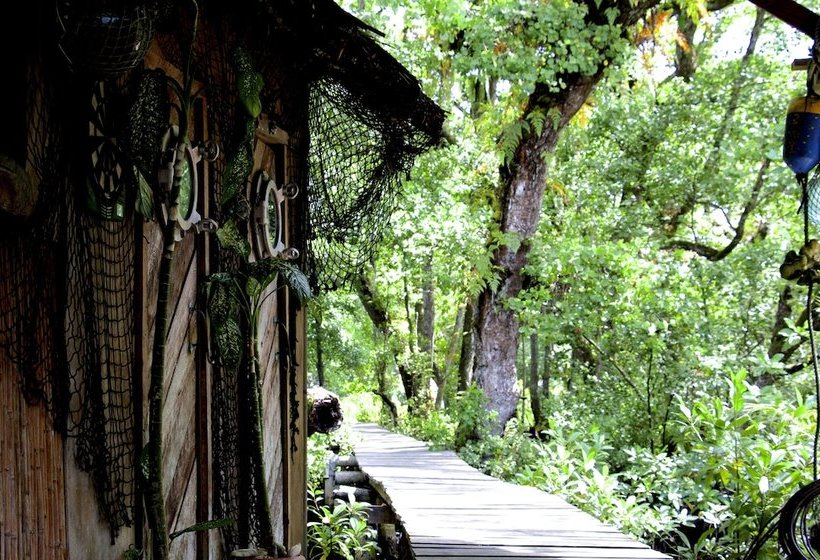 Hotel Pacific Treelodge Resort