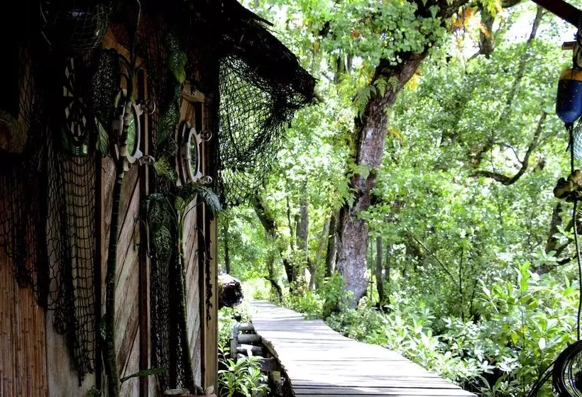 هتل Pacific Treelodge Resort