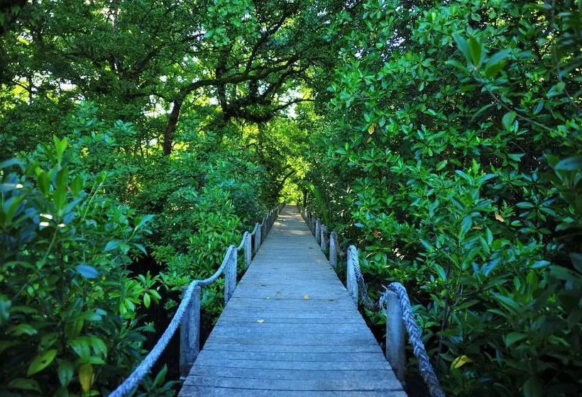 هتل Pacific Treelodge Resort