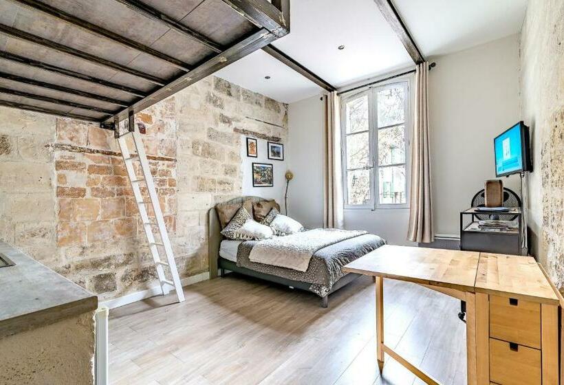 Studios Entre Le Pont D Avignon Et Le Palais Des Papes