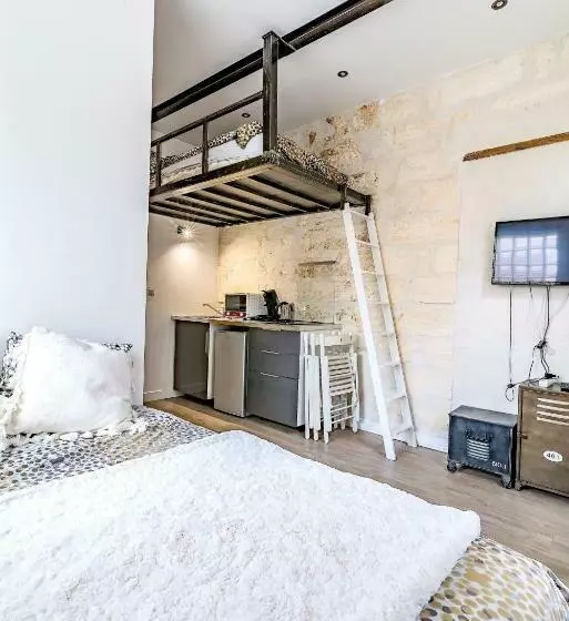 Studios Entre Le Pont D  Avignon Et Le Palais Des Papes