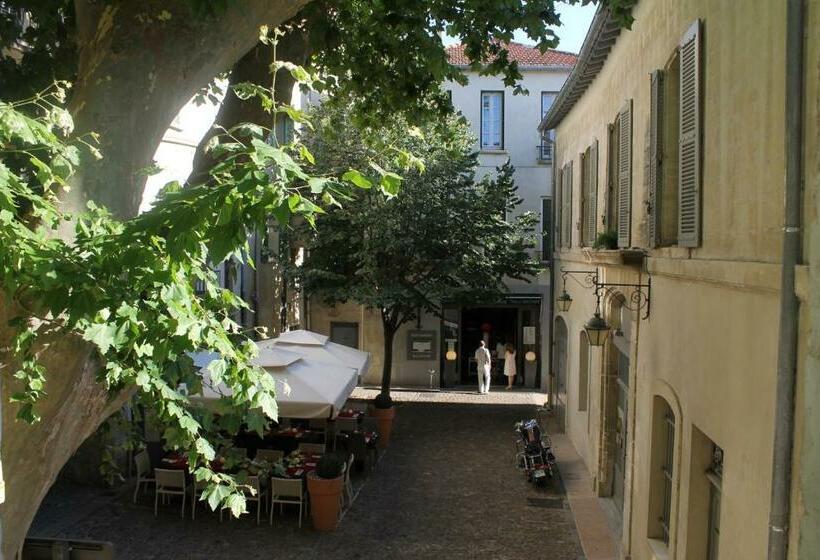 Studios Entre Le Pont D  Avignon Et Le Palais Des Papes