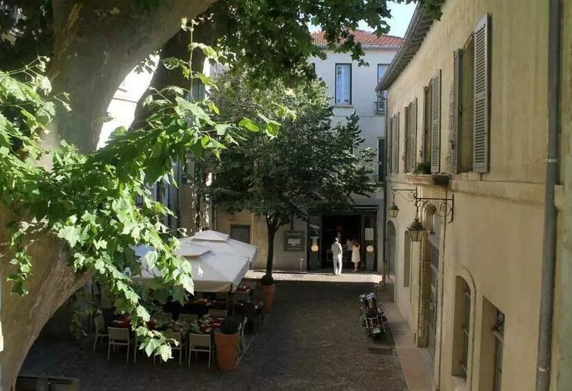 Studios Entre Le Pont D  Avignon Et Le Palais Des Papes
