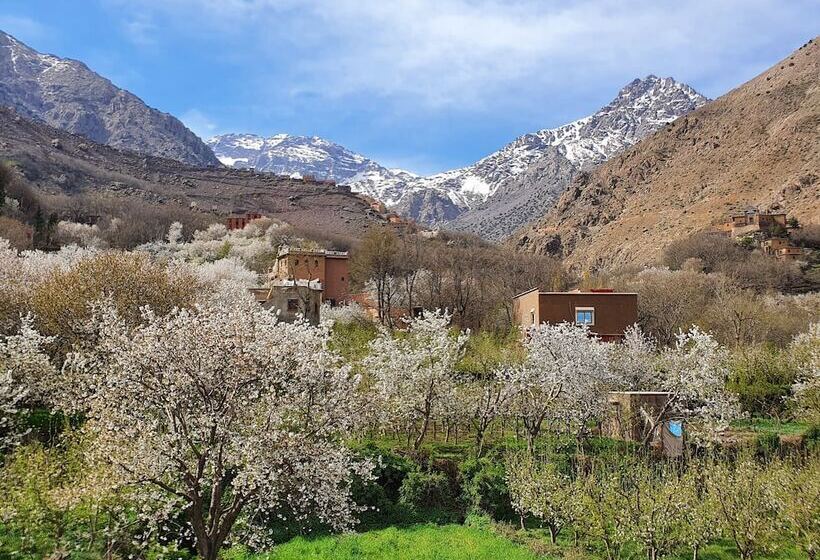 بنسيون Dar Assarou   Toubkal National Park Lodge